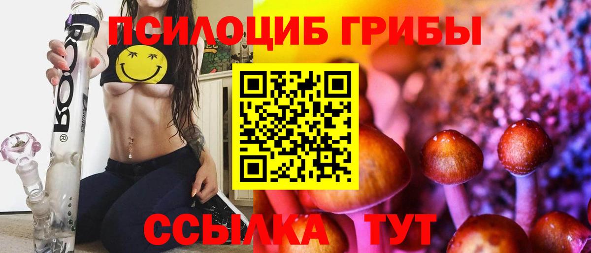 Тамбов  Галлюциногенные грибы ЛСД  где продают   Галлюциногенные грибы мицелий  Вход с VPN 